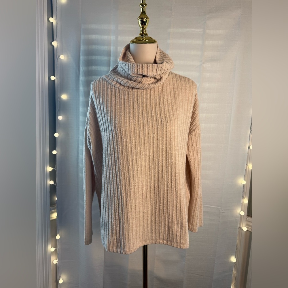 Dylan Cream Ribbed Knit Turtleneck Sweater